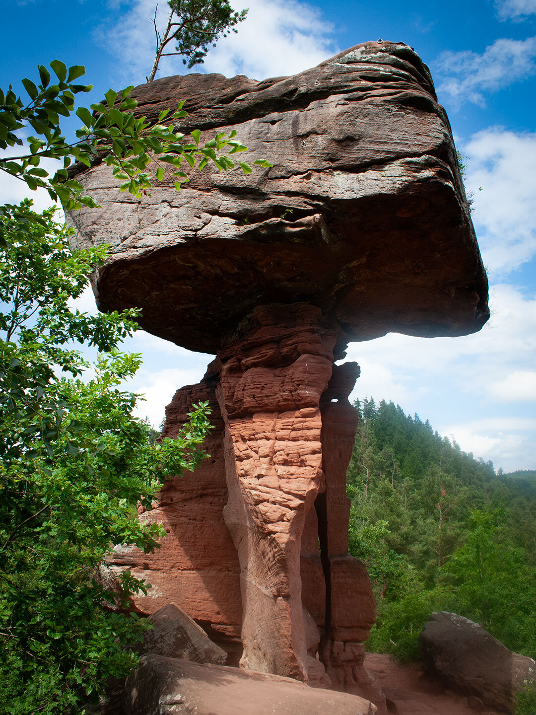 der Teufelstisch bei Hinterweidenthal – geschaffen durch Jahrmillionen der Erosion im Buntsandstein der Teufelstisch bei Hinterweidenthal