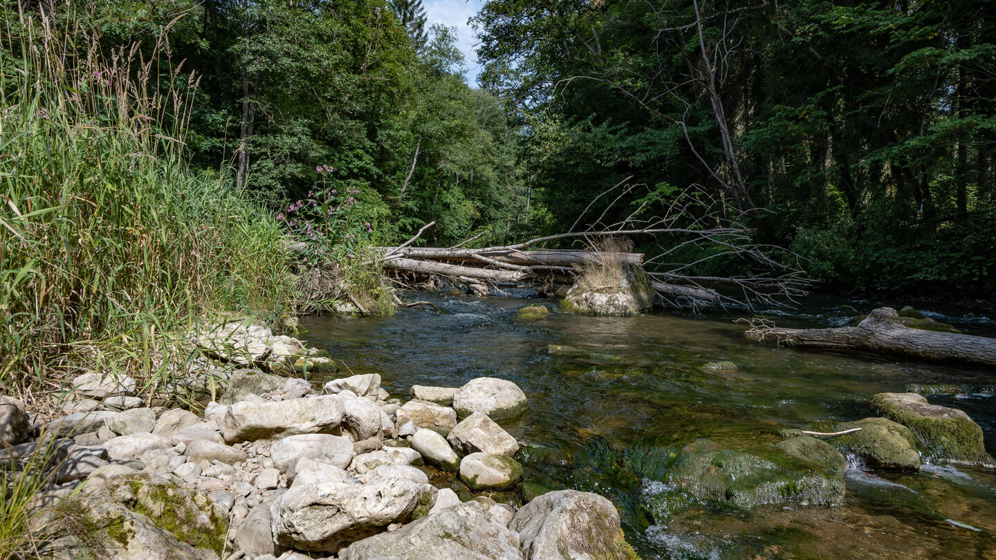 Wanderung entlang des Flusslaufs der Wutach über den Schluchtensteig