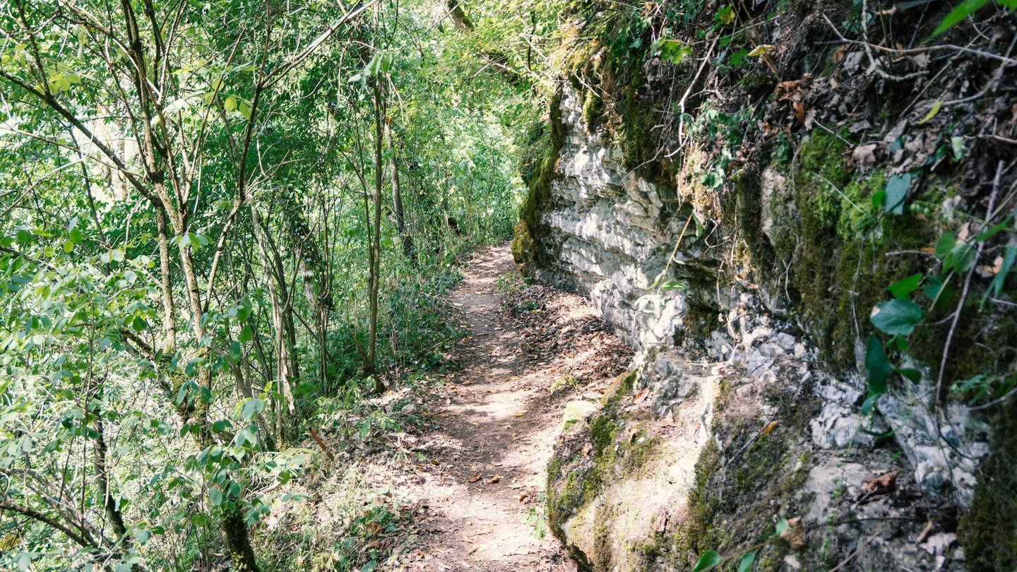 Pfade entlang Felswänden inmitten üppiger Vegetation