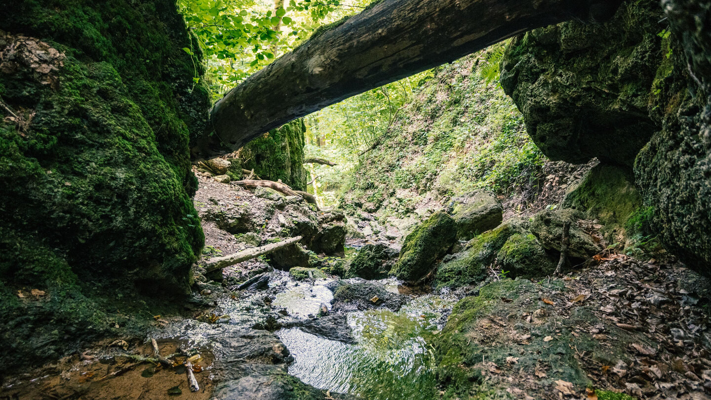 Bachlauf am Sturzdobel