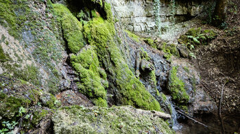 bemooste Felsen am Sturzdobel-Wasserfall