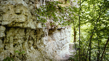 enger Wanderpfad am Schluchtensteig