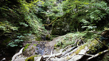 zerklüftete Schlucht am Sturzdobel