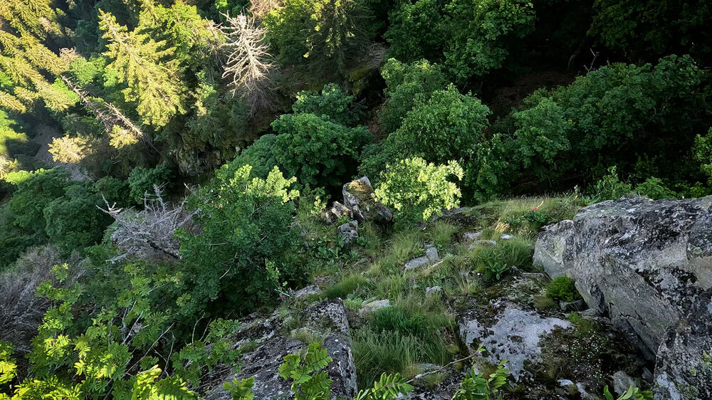 Aussicht am Belvédère de la Petite Fecht Aussicht am Belvédère de la Petite Fecht