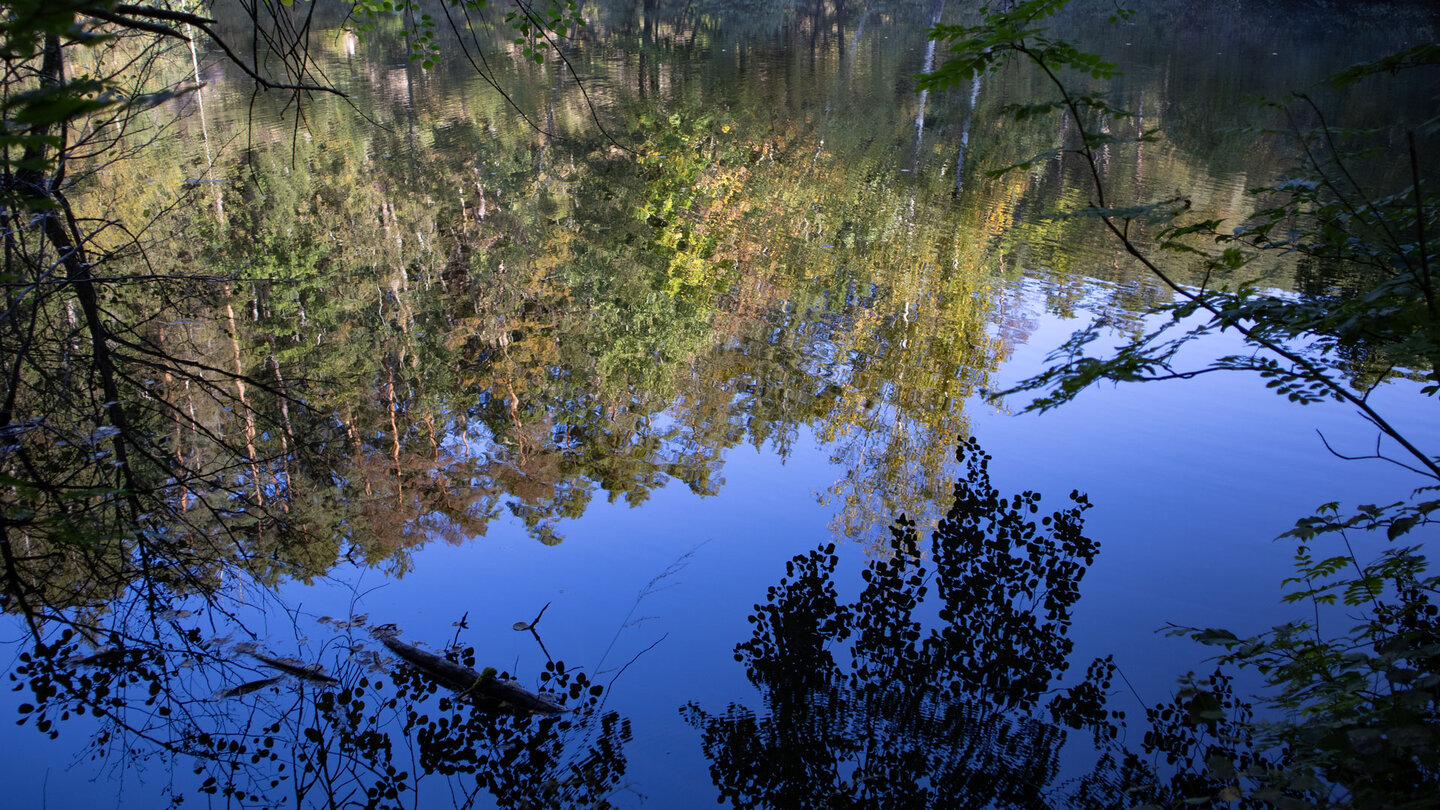 Spiegelung am Weier im Moosbachtal