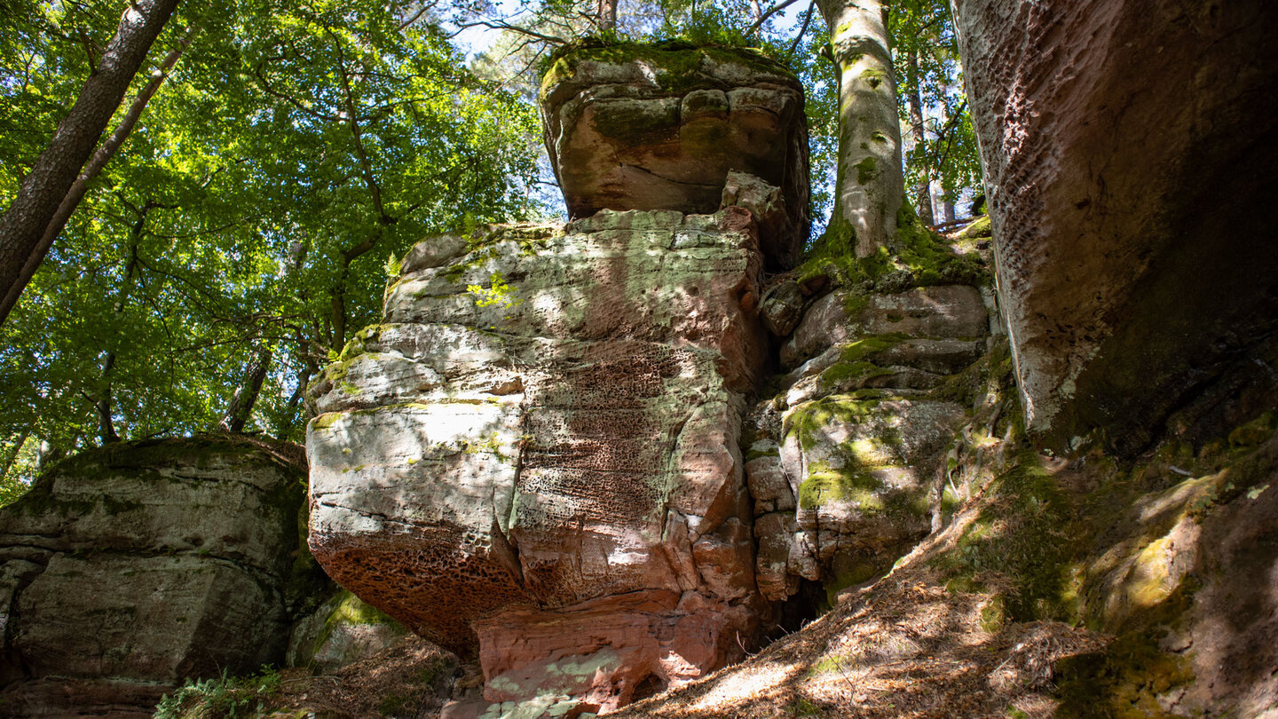 gigantische Felsblöcke am Sandsteinmassiv Hohle Felsen