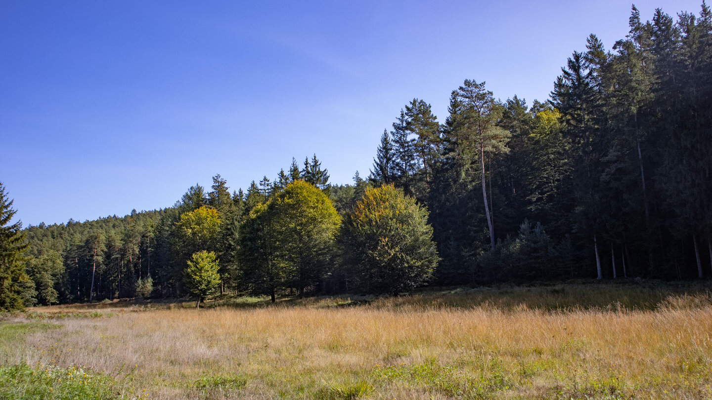 Wanderung durch Wiesenlandschaft im Seibertsbachtal