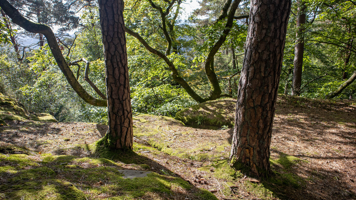 Wanderpfad entlang des Plateaus der Hohlen Felsen