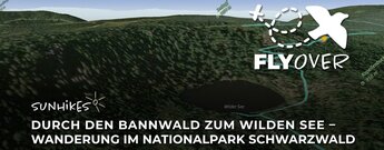 Durch den Bannwald zum Wilden See: Wanderung im Nationalpark Schwarzwald – Flyover