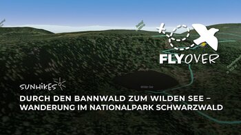 Durch den Bannwald zum Wilden See: Wanderung im Nationalpark Schwarzwald – Flyover