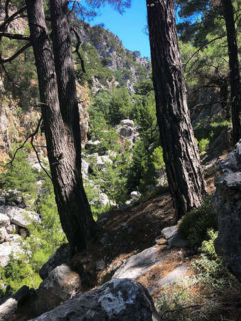 Blick vom Wanderpfad in die Schlucht Agia Irini