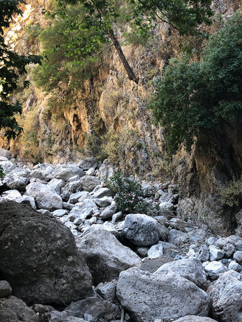 felsiges Bachbett in der Agia Irini-Schlucht