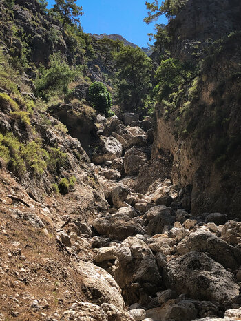 der Wanderpfad quert mehrfach das Bachbett der Agia Irini-Schlucht