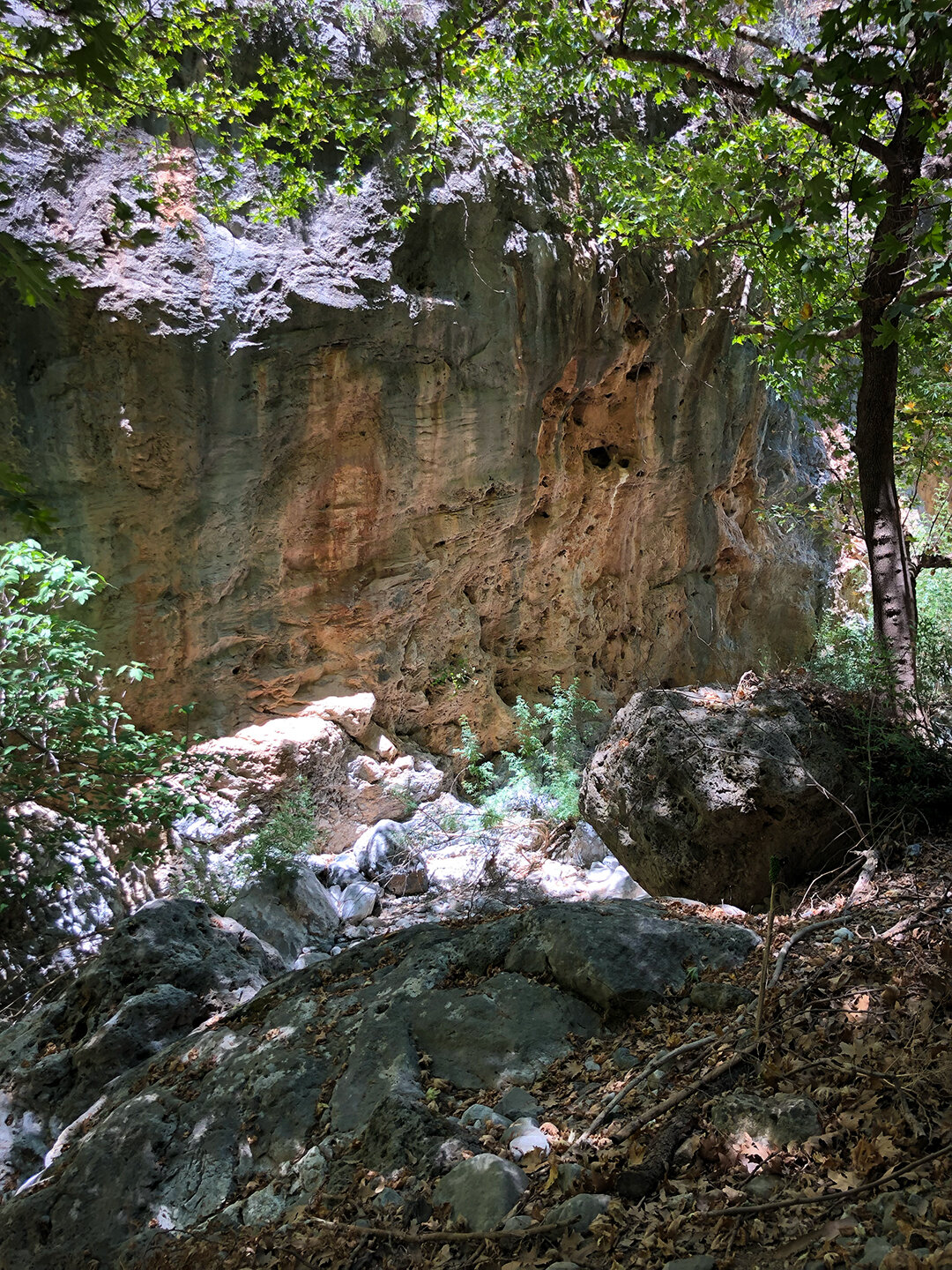 Felswände im Schatten der Platanen in der Agia Irini-Schlucht