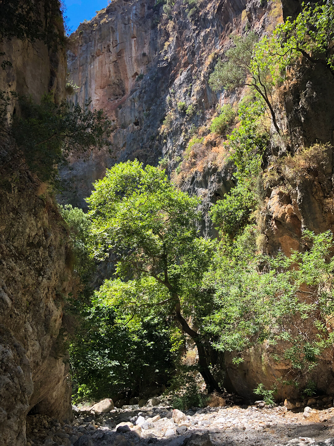 beeindruckende Dimensionen der Felswände in der Agia Irini-Schlucht