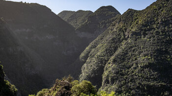 Blick in die tiefe Schlucht Barranco de los Hombres