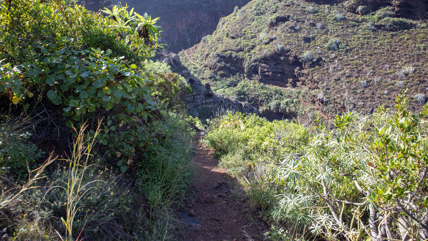 Wanderpfad durchs Barranco de los Hombres