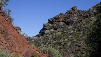 trockene Küstenvegetation in der Hombres-Schlucht