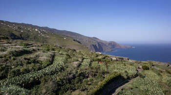terrassierte Kulturlandschaft an der Nordküste La Palmas
