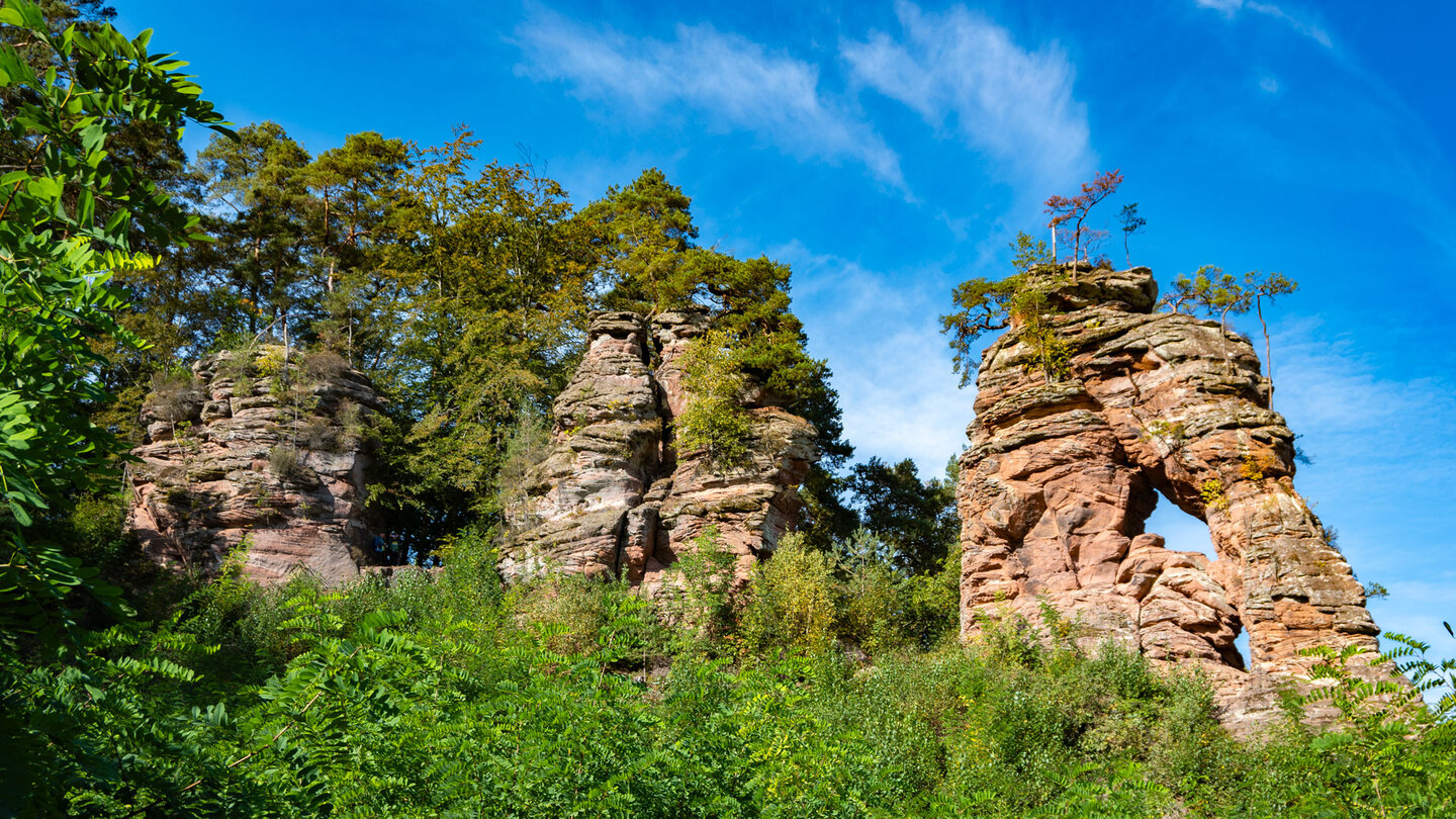 die Felsgruppe der Schillerfelsen bei Dahn