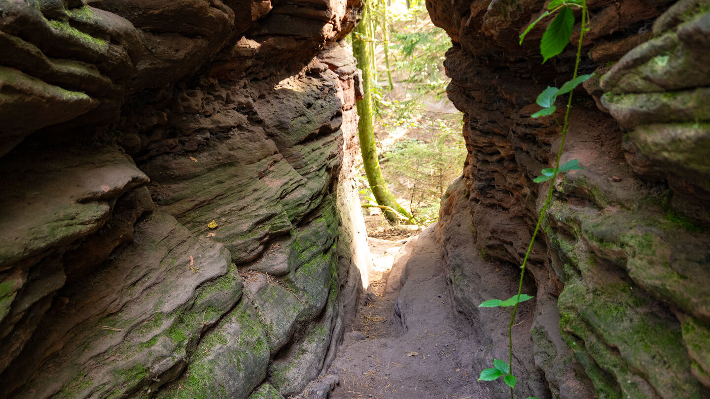 Durchgang durch ein Sandsteinriff oberhalb der Schillerfelsen