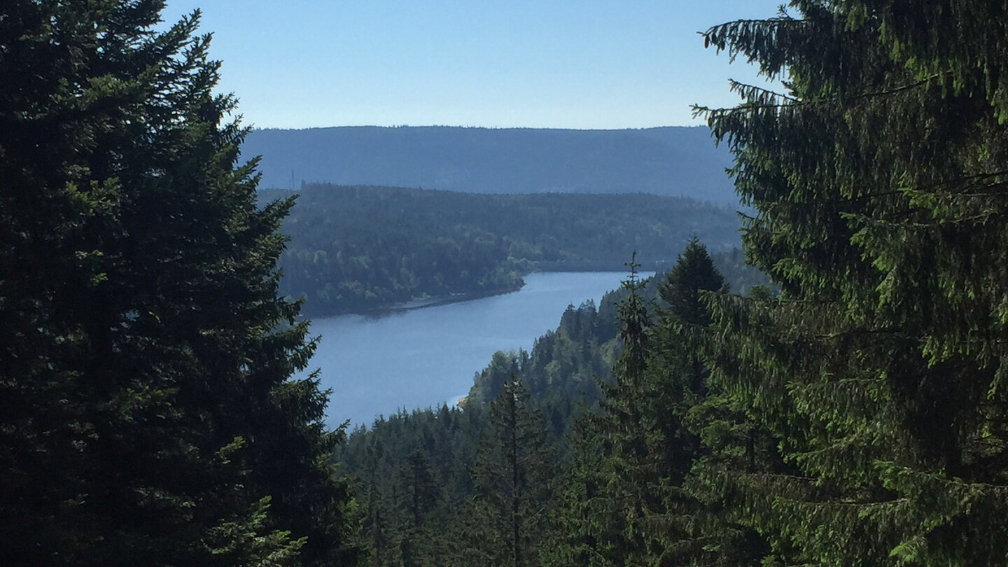 Blick durch den Wald auf die Schwarzenbachtalsperre