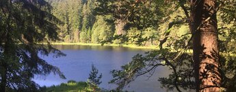 Der Herrenwieser See ist der am nördlichsten gelegenen Karsee des Schwarzwaldes und der kleinste der 10 noch bestehenden eiszeitlichen Karseen