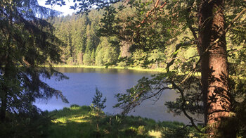 Der Herrenwieser See ist der am nördlichsten gelegenen Karsee des Schwarzwaldes und der kleinste der 10 noch bestehenden eiszeitlichen Karseen