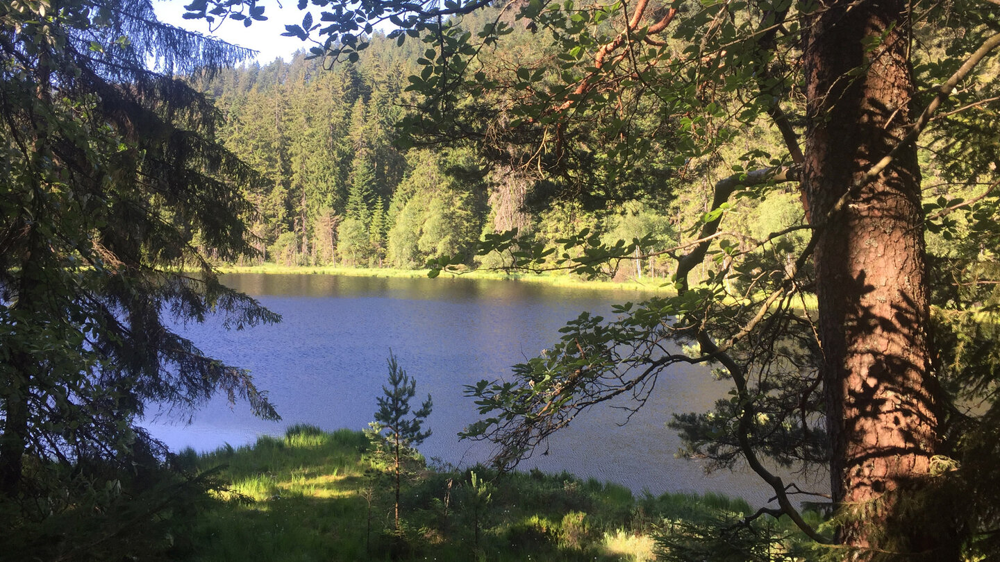 Der Herrenwieser See ist der am nördlichsten gelegenen Karsee des Schwarzwaldes und der kleinste der 10 noch bestehenden eiszeitlichen Karseen