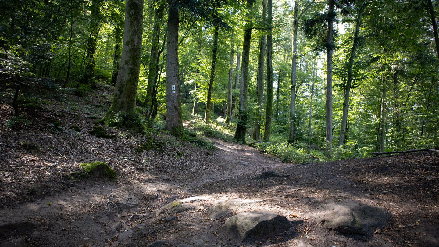 idyllischer Wanderpfad zur Burg Falkenstein