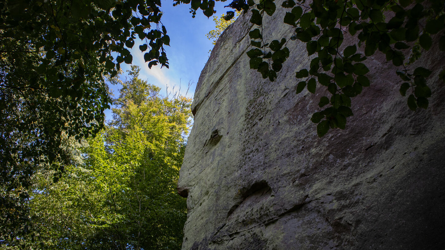 Steilwand am Helfenstein