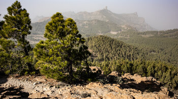 Wanderung durch den Naturpark Roque Nublo