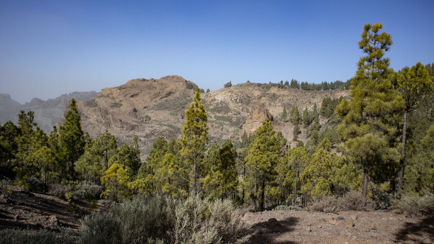 Blick über die Schlucht Barranco Meca zum El Montañón