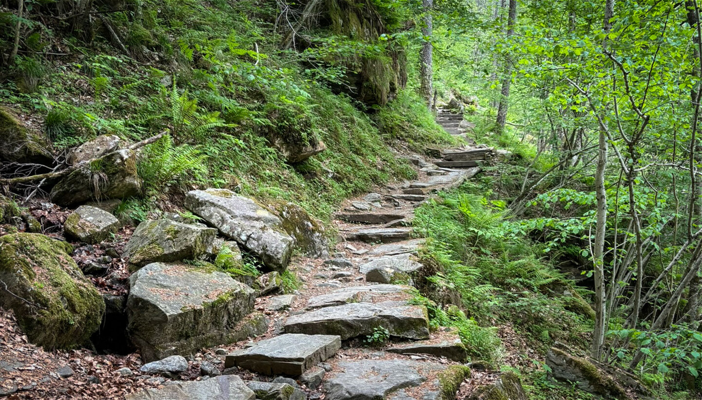Über alte Steinplatten führt der Wanderweg des BoBosco Trail.