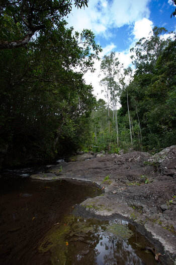 Wasserbecken am Black River auf Mauritius