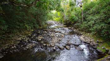 steiniger Bachlauf des Black River