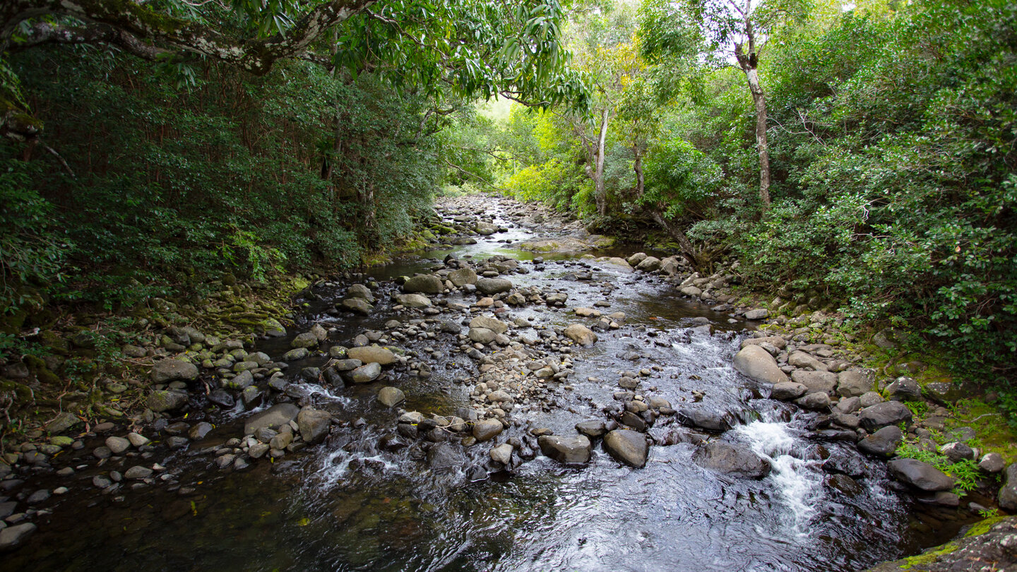 steiniger Bachlauf des Black River steiniger Bachlauf des Black River