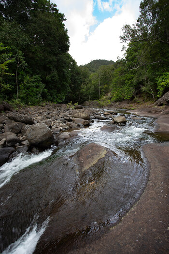 Stromschnell an Felsen im Black River Nationalpark - Mauritius