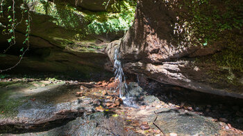 kleiner Wasserfall in der Hexenklamm bei Pirmasens