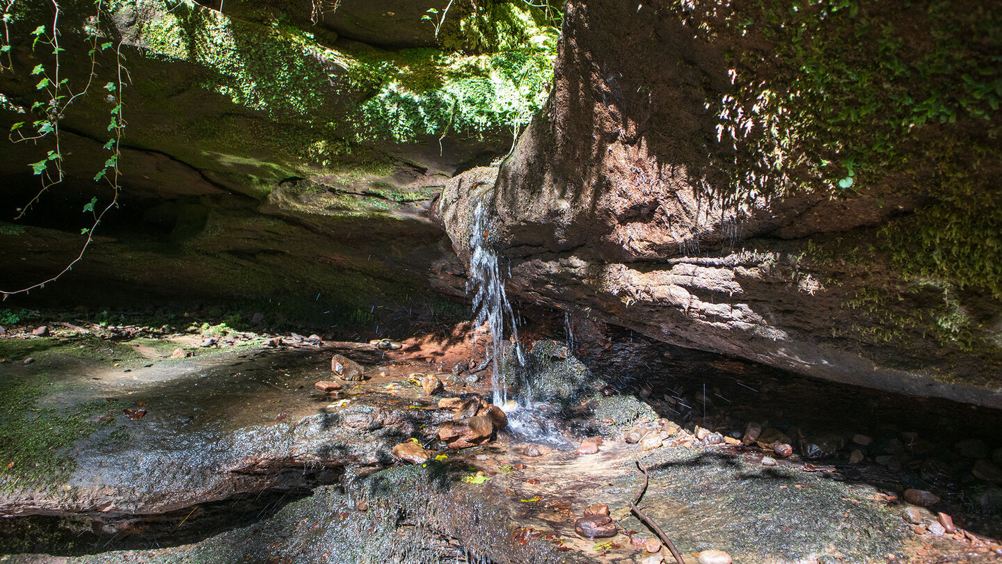 kleiner Wasserfall in der Hexenklamm bei Pirmasens
