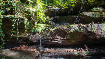Naturdenkmal Hexenklamm nahe Pirmasens