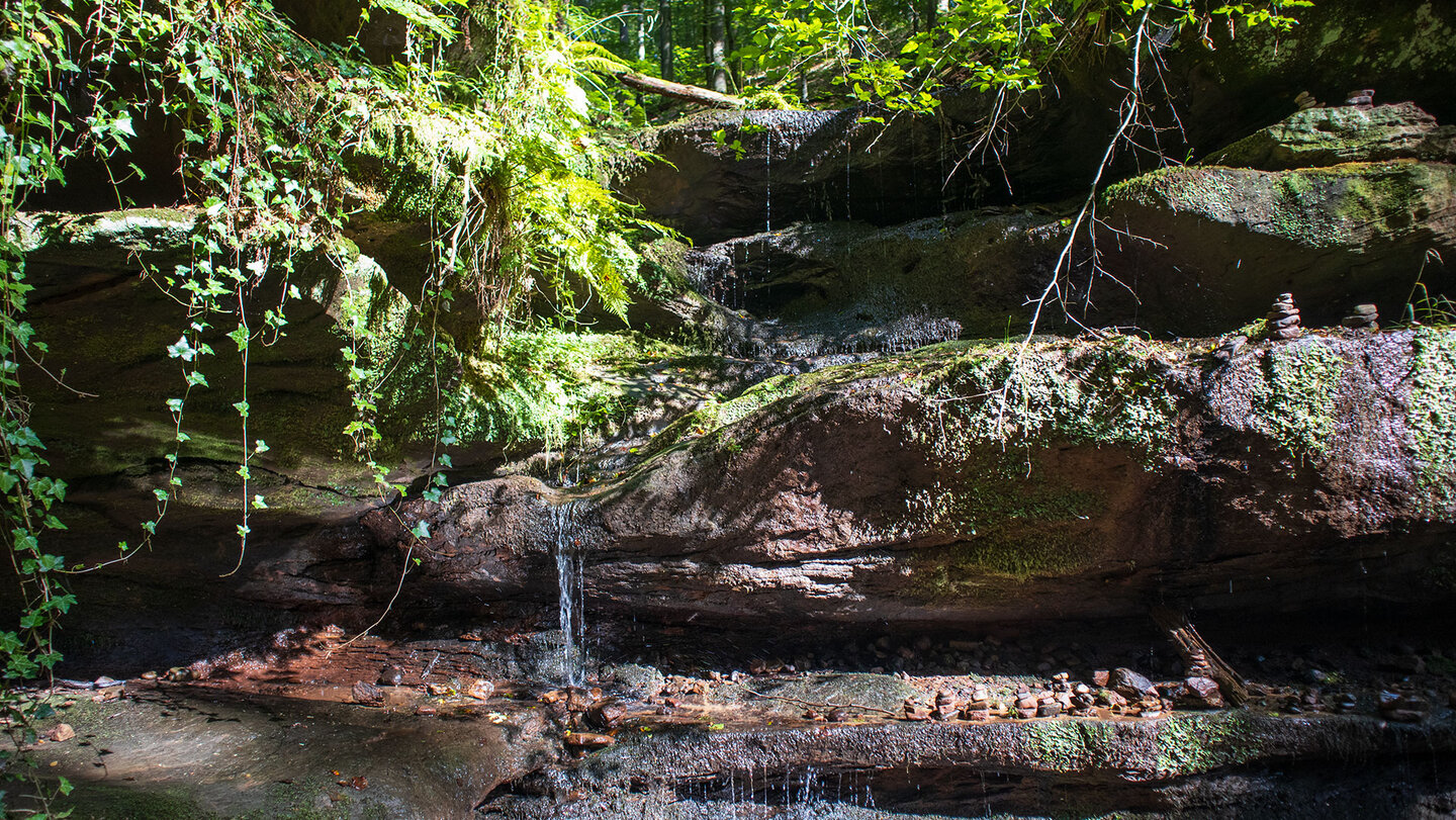 Naturdenkmal Hexenklamm nahe Pirmasens