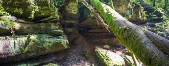 die wildromantische Schlucht der Hexenklamm