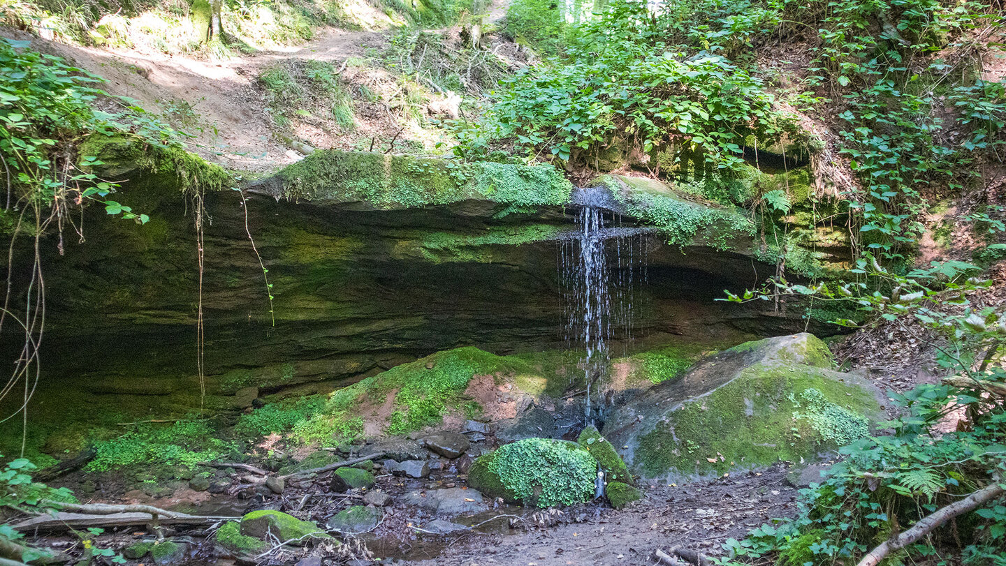 Wanderweg am Bachlauf in der Hexenklamm