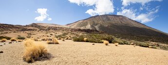 traumhaftes Panorama am Wanderweg 22 im Teide Nationalpark
