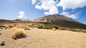 traumhaftes Panorama am Wanderweg 22 im Teide Nationalpark
