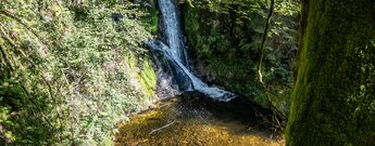 Die Allerheiligenwasserfälle sind Wasserfälle im Nordschwarzwald