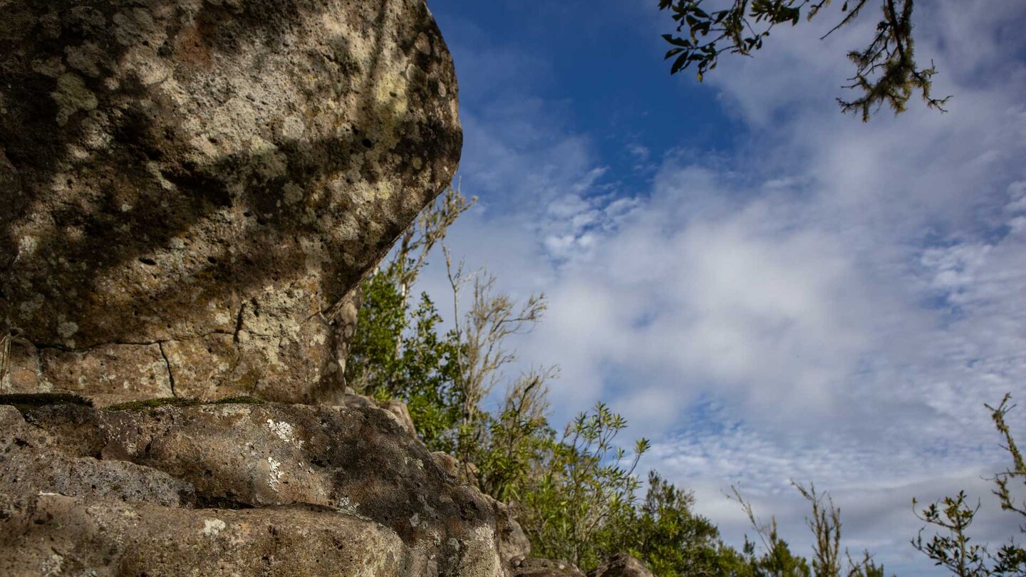 Felsformationen zwischen Lorbeerwald am Wegesrand