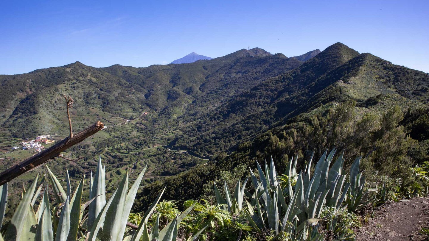 Blick über den grünen Monte del Agua mit dem Teide im Hintergrund