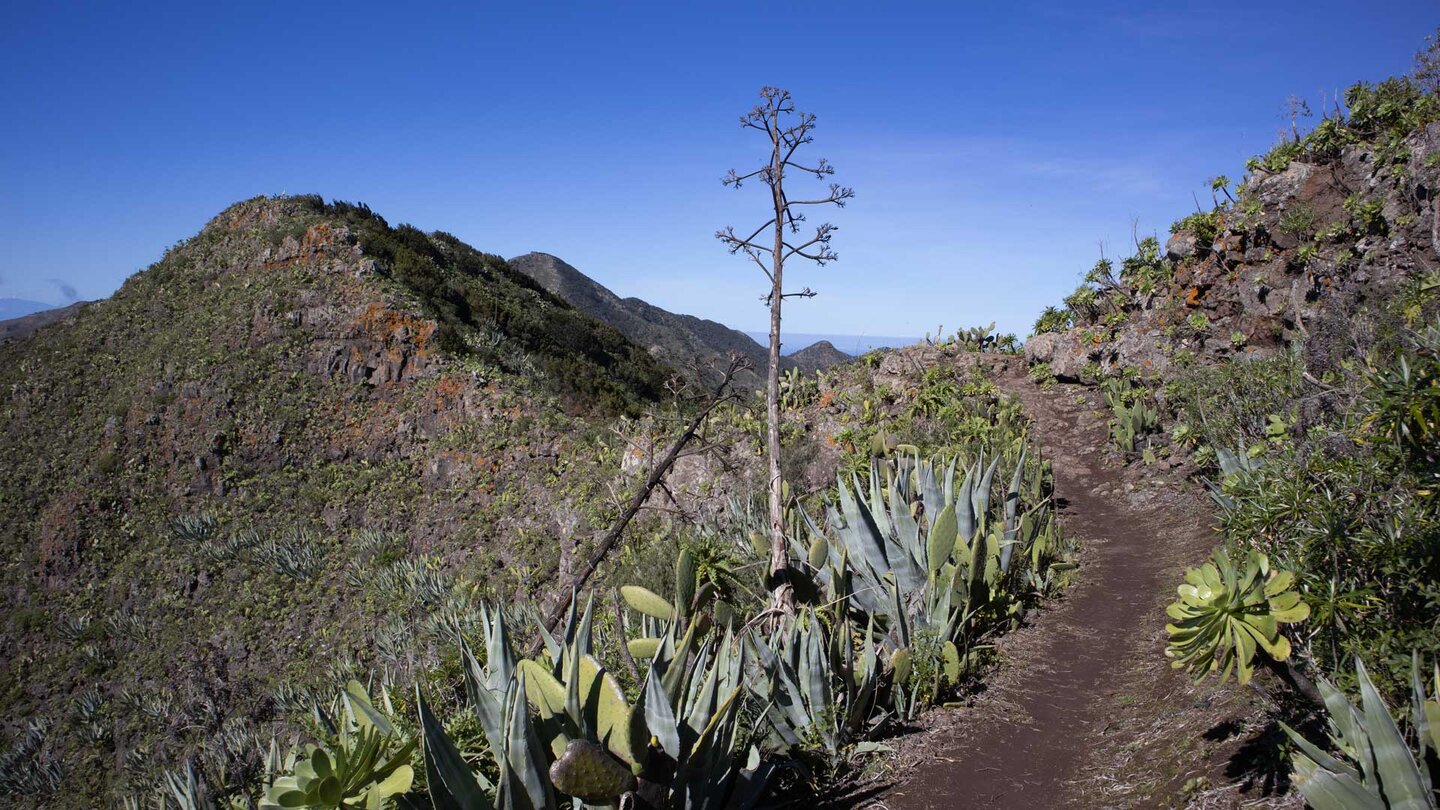 malerischer Wanderpfad über den Höhenrücken der Cumbre de Bolico im Teno-Gebirge